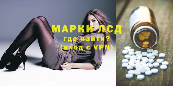 PSILOCYBIN Алзамай