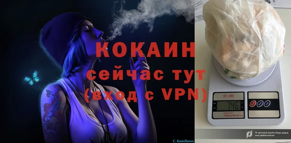 PSILOCYBIN Алзамай
