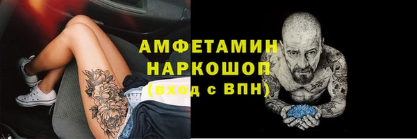 PSILOCYBIN Алзамай