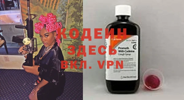 PSILOCYBIN Алзамай