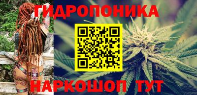 Альфа ПВП Гусев
