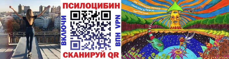 Галлюциногенные грибы Psilocybe Ярцево