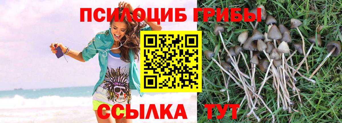 Ярцево  Галлюциногенные грибы Cubensis  где найти наркотики  Вход с VPN  Псилоцибиновые грибы мухоморы 
